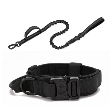 Dog Heaven™ Heavy Duty Collar & Bungee Leash